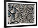 Gramercy Black