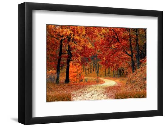 Premium Photographic Print, , large