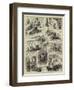 Mr Aldgate-Lothbury in the Highlands-null-Framed Giclee Print