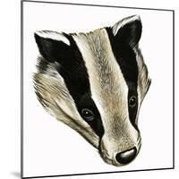 Mr and Mrs Badger at Home-David Pratt-Mounted Giclee Print