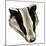 Mr and Mrs Badger at Home-David Pratt-Mounted Giclee Print