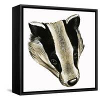 Mr and Mrs Badger at Home-David Pratt-Framed Stretched Canvas