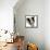 Mr and Mrs Badger at Home-David Pratt-Framed Stretched Canvas displayed on a wall