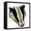 Mr and Mrs Badger at Home-David Pratt-Framed Stretched Canvas