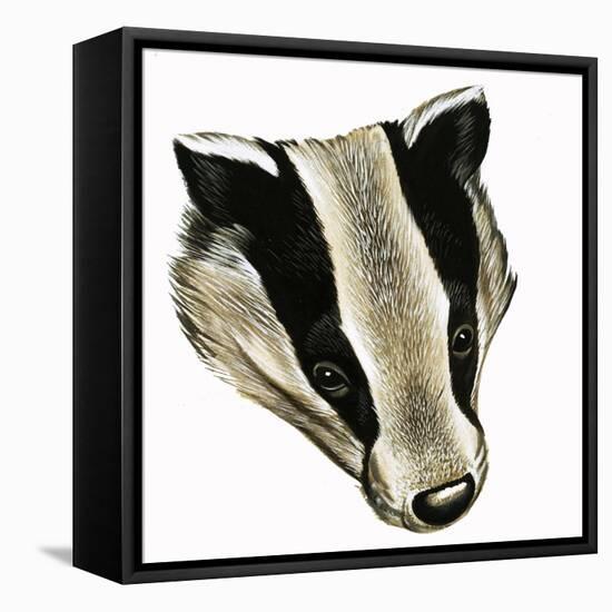 Mr and Mrs Badger at Home-David Pratt-Framed Stretched Canvas