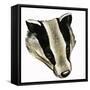 Mr and Mrs Badger at Home-David Pratt-Framed Stretched Canvas