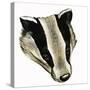 Mr and Mrs Badger at Home-David Pratt-Stretched Canvas