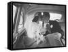 Mr. and Mrs. Thomas Beagan Jr. Kissing in Back of Car after their Wedding Ceremony-Ed Clark-Framed Stretched Canvas