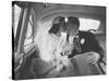 Mr. and Mrs. Thomas Beagan Jr. Kissing in Back of Car after their Wedding Ceremony-Ed Clark-Stretched Canvas
