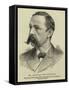 Mr Archibald Ross Colquhoun-null-Framed Stretched Canvas