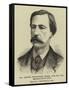 Mr Ashton Wentworth Dilke, Late MP for Newcastle-On-Tyne-null-Framed Stretched Canvas