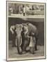 Mr Barnum's White Burmese Elephant Toung Taloung-John Charles Dollman-Mounted Giclee Print