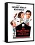 Mr. Blandings Builds His Dream House, Melvyn Douglas, Myrna Loy, Cary Grant, 1948-null-Framed Stretched Canvas