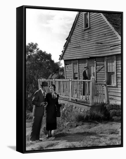 Mr. Blandings Builds His Dream House-null-Framed Stretched Canvas