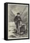 Mr Bright Salmon-Fishing-null-Framed Stretched Canvas