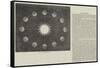 Mr C H Adams's Orrery-null-Framed Stretched Canvas