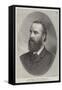 Mr Charles Stewart Parnell, Mp, Leader of the Irish Parliamentary Party, 1886-null-Framed Stretched Canvas