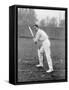 Mr Coh Sewell, Gloucestershire Cricketer, C1899-WA Rouch-Framed Stretched Canvas