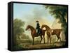 Mr. Crewe's Hunters with a Groom Near a Wooden Barn-George Stubbs-Framed Stretched Canvas