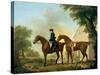 Mr. Crewe's Hunters with a Groom Near a Wooden Barn-George Stubbs-Stretched Canvas
