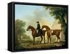 Mr. Crewe's Hunters with a Groom Near a Wooden Barn-George Stubbs-Framed Stretched Canvas