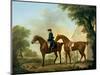 Mr. Crewe's Hunters with a Groom Near a Wooden Barn-George Stubbs-Mounted Giclee Print