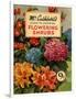 Mr Cuthberts Guide To Flowering, 1953, UK-null-Framed Giclee Print