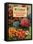 Mr Cuthberts Guide To Flowering, 1953, UK-null-Framed Stretched Canvas