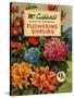 Mr Cuthberts Guide To Flowering, 1953, UK-null-Stretched Canvas