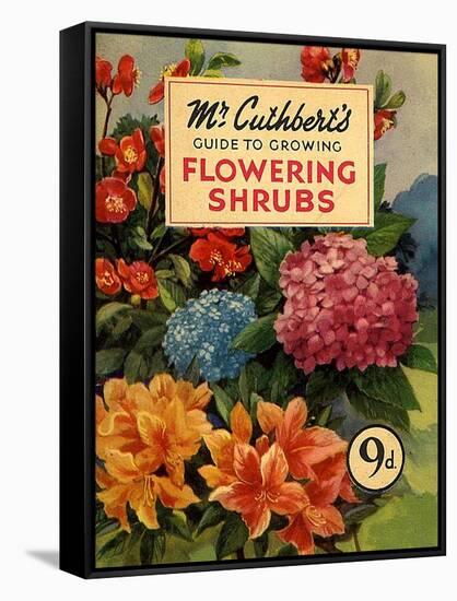 Mr Cuthberts Guide To Flowering, 1953, UK-null-Framed Stretched Canvas