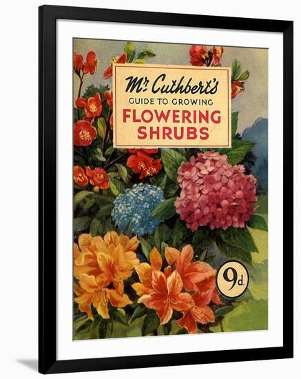 Mr Cuthberts Guide To Flowering, 1953, UK-null-Framed Giclee Print