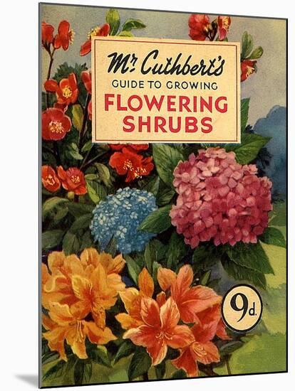 Mr Cuthberts Guide To Flowering, 1953, UK-null-Mounted Giclee Print