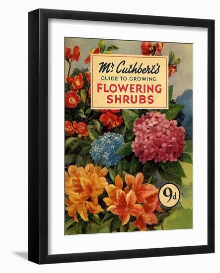 Mr Cuthberts Guide To Flowering, 1953, UK-null-Framed Giclee Print