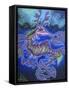 Mr. Dragon-Martin Nasim-Framed Stretched Canvas
