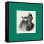 Mr. E. R. Cook Poplar, London, UK, Britain, United Kingdom, U.K., Great Britain-null-Framed Stretched Canvas