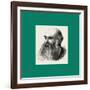 Mr. E. R. Cook Poplar, London, UK, Britain, United Kingdom, U.K., Great Britain-null-Framed Giclee Print