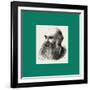 Mr. E. R. Cook Poplar, London, UK, Britain, United Kingdom, U.K., Great Britain-null-Framed Giclee Print