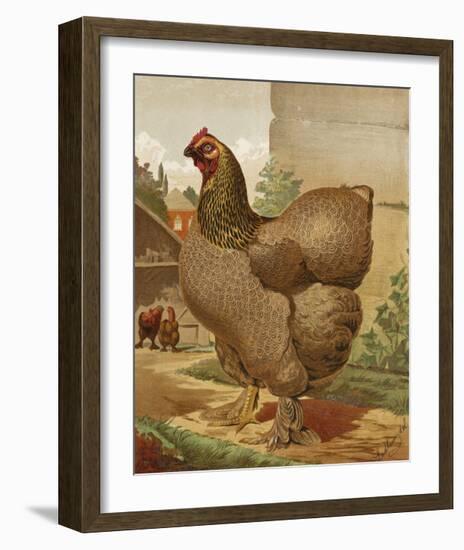 Mr. E. Tudman’s Partridge Cochin Hen “Titania”-J^ W^ Ludlow-Framed Premium Giclee Print