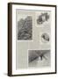 Mr Edward Whymper on the Andes-Alfred Courbould-Framed Giclee Print
