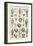 Mr Edwin J Brett's Collection of Armour at the Tudor Exhibition-null-Framed Giclee Print