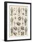 Mr Edwin J Brett's Collection of Armour at the Tudor Exhibition-null-Framed Giclee Print