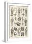 Mr Edwin J Brett's Collection of Armour at the Tudor Exhibition-null-Framed Giclee Print