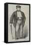 Mr Edwin James, Qc, in Garibaldi's Camp-null-Framed Stretched Canvas