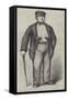 Mr Edwin James, Qc, in Garibaldi's Camp-null-Framed Stretched Canvas