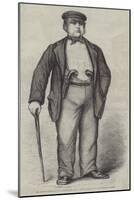 Mr Edwin James, Qc, in Garibaldi's Camp-null-Mounted Giclee Print