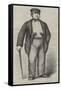 Mr Edwin James, Qc, in Garibaldi's Camp-null-Framed Stretched Canvas