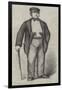 Mr Edwin James, Qc, in Garibaldi's Camp-null-Framed Giclee Print