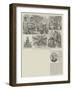 Mr F Horniman's Museum, Forest Hill-Frank Watkins-Framed Giclee Print