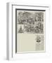 Mr F Horniman's Museum, Forest Hill-Frank Watkins-Framed Giclee Print