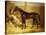 Mr. F.I. Popham's Brown Colt, 'Wild Dayrell' in a Loose Box-Thomas Barratt of Stockbridge-Stretched Canvas